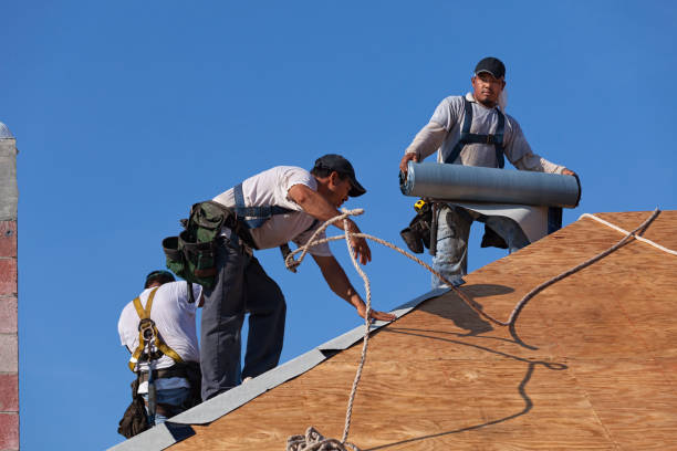 Best Emergency Roof Repair  in Boyceville, WI
