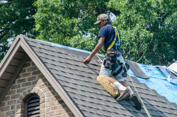 Best Roof Repair Services  in Boyceville, WI